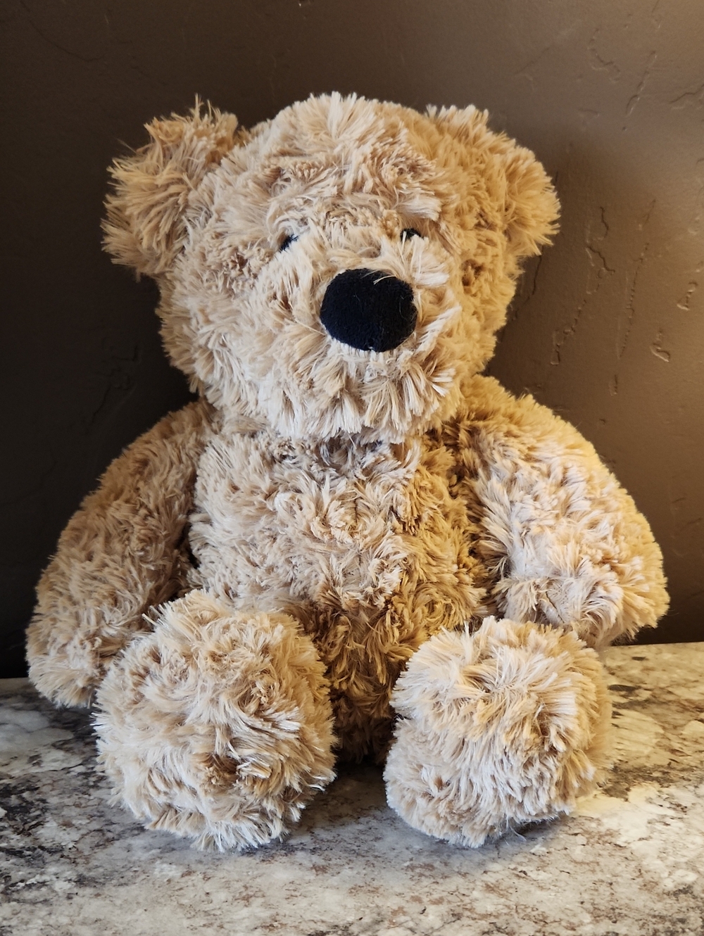 NWOT Warmies Teddy Bear